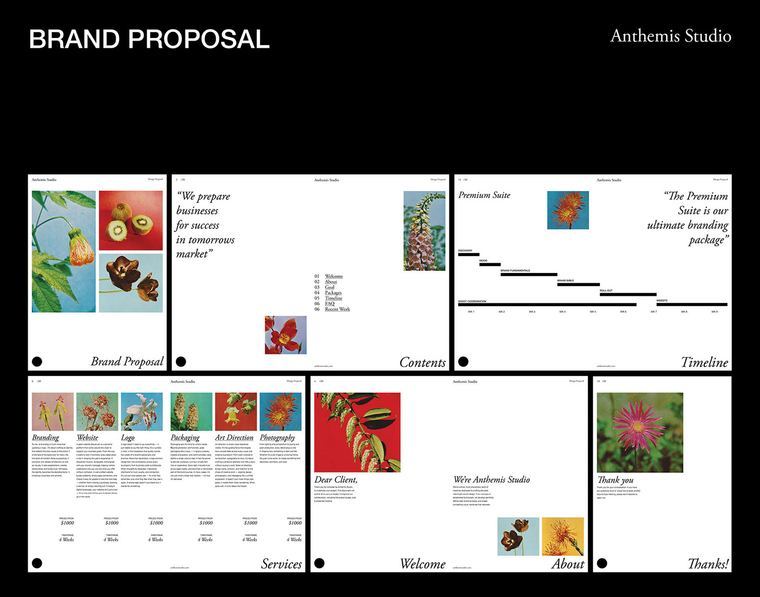 Anthemis Studio: Proposal